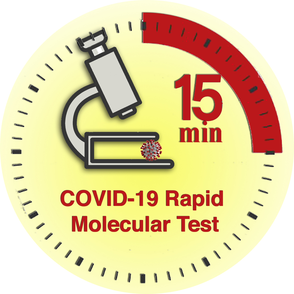 Covid Molecular